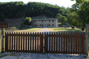 agriturismo-vista-del-mondo-1